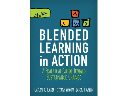 Blended Learning in Action: A Practical Guide Toward Sustainable Change