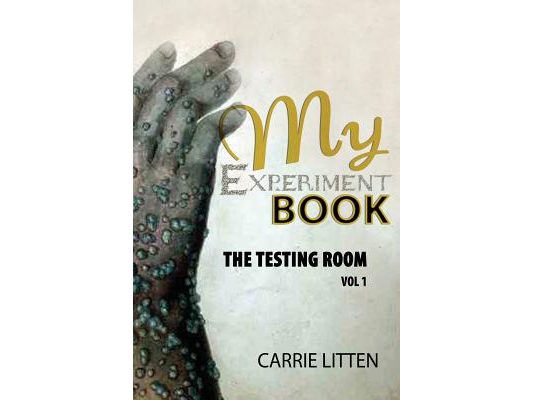 My Experiment Book: The Testing Room: In Various Branches of Science and Illusions Acoustics, Arithmetic, Chemistry, Electricity, Hydrauli