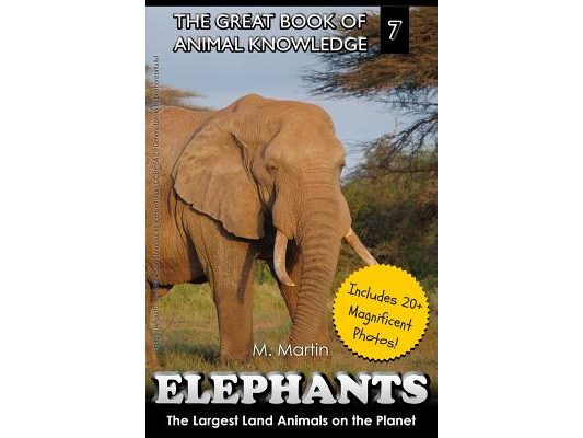 Elephants: The Largest Land Animals on the Planet