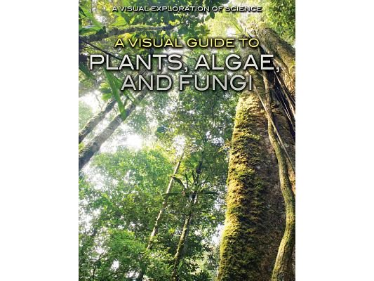 A Visual Guide to Plants, Algae, and Fungi