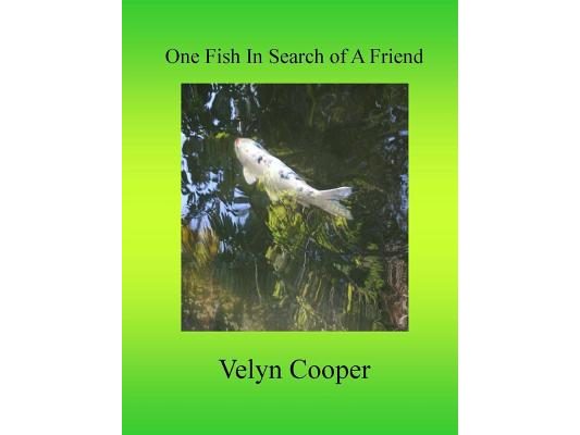 One Fish In Search of A Friend