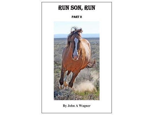 Run Son, Run Part 2