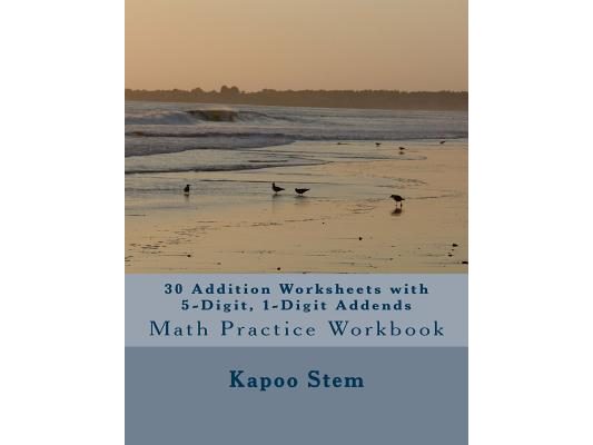 30 Addition Worksheets with 5-Digit, 1-Digit Addends: Math Practice Workbook