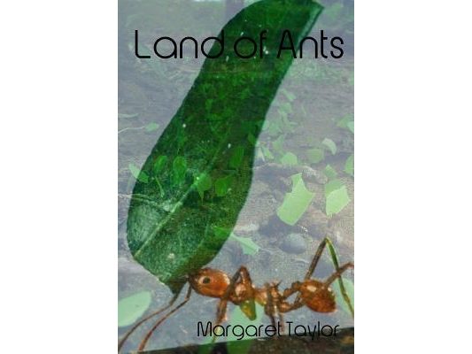 Land of Ants