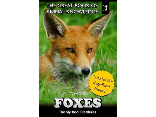 Foxes: The Sly Red Creatures