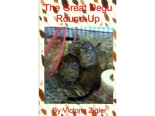 The Great Degu Round-Up