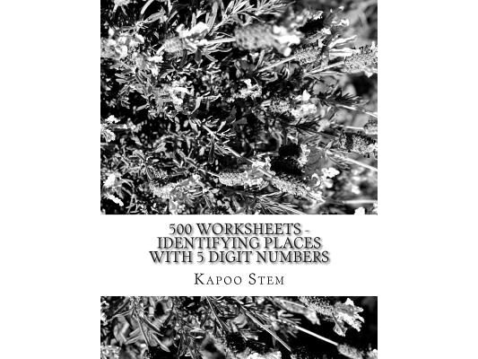 500 Worksheets - Identifying Places with 5 Digit Numbers: Math Practice Workbook