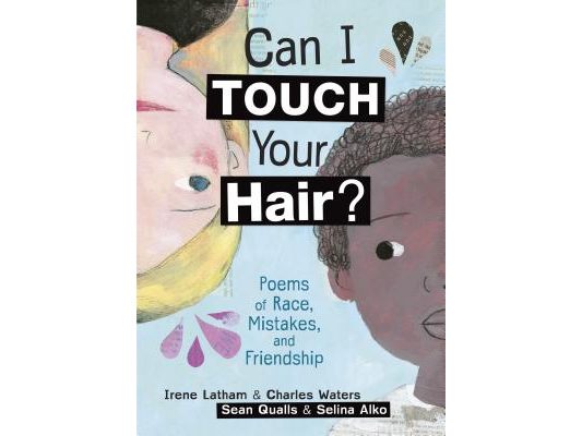 Can I Touch Your Hair?: Poems of Race, Mistakes, and Friendship