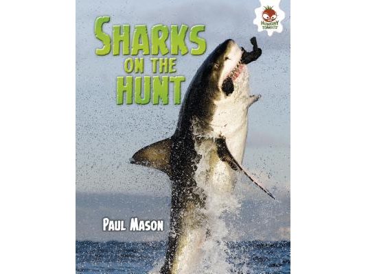 Sharks on the Hunt