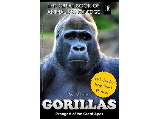 Gorillas: Strongest of the Great Apes