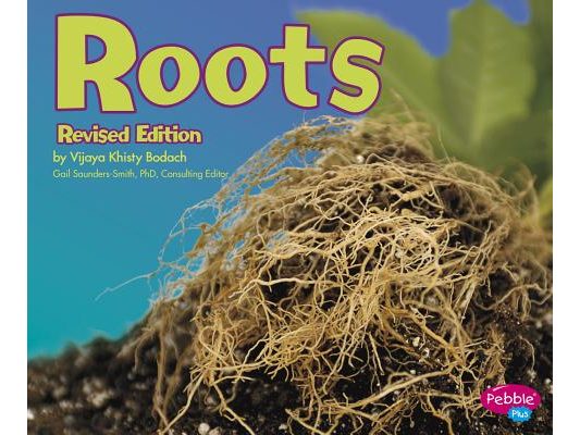 Roots