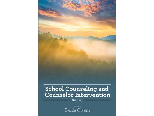 School Counseling and Counselor Intervention
