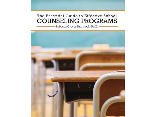 The Essential Guide to Effective School Counseling Programs