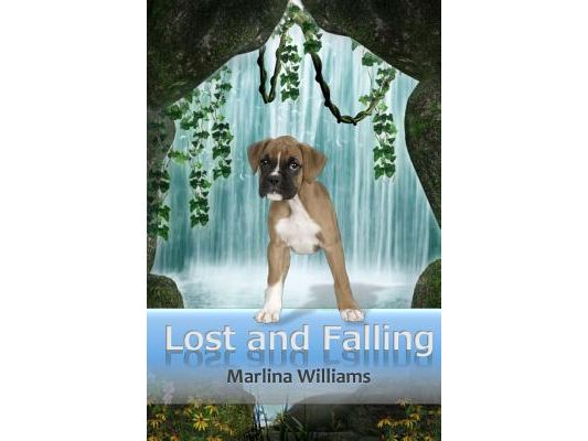 Lost and Falling