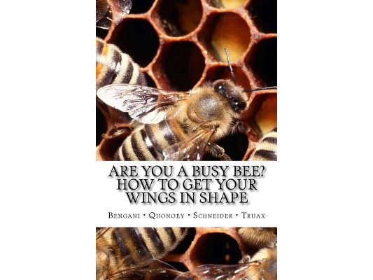 Are you a Busy Bee? How to get Your Wings in Shape