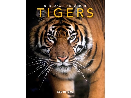 Tigers: Amazing Pictures & Fun Facts on Animals in Nature