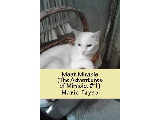 Meet Miracle: (The Adventures of Miracle, Volume 1)
