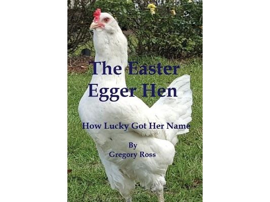 The Easter Egger Hen: How Lucky Got Her Name