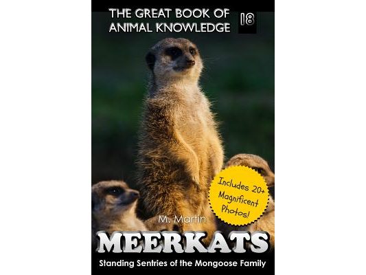Meerkats: Standing Sentries of the Mongoose Family