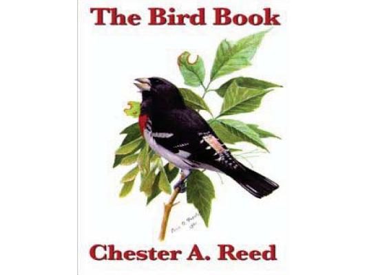 The bird book: illustrating in natural colors more than seven hundred North Ame