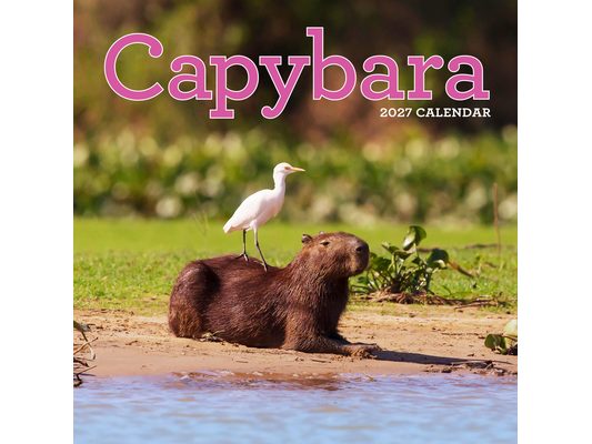 Capybara Wall Calendar 2027: A Happy, Capy Year