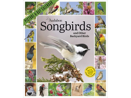 Audubon Songbirds and Other Backyard Birds Picture-A-Day(r) Wall Calendar 2027