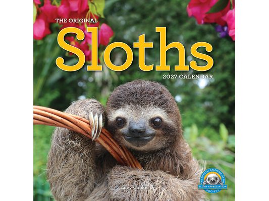 Original Sloths Wall Calendar 2027: The Ultimate Experts at Slowing Down