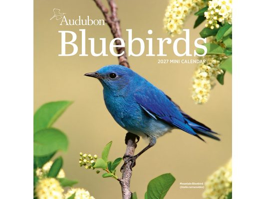 Audubon Bluebirds Mini Wall Calendar 2027
