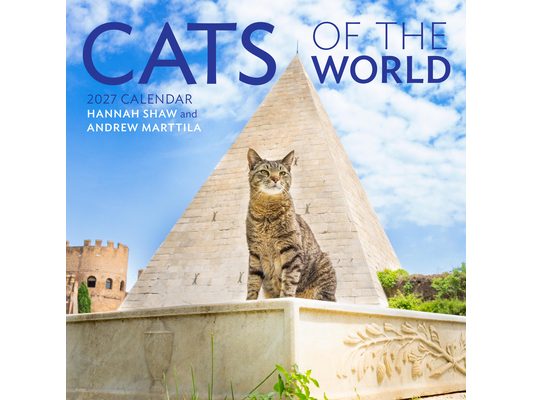 Cats of the World Wall Calendar 2027