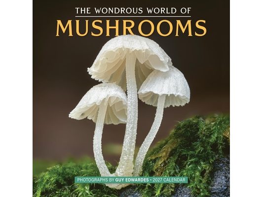 The Wondrous World of Mushrooms Wall Calendar 2027
