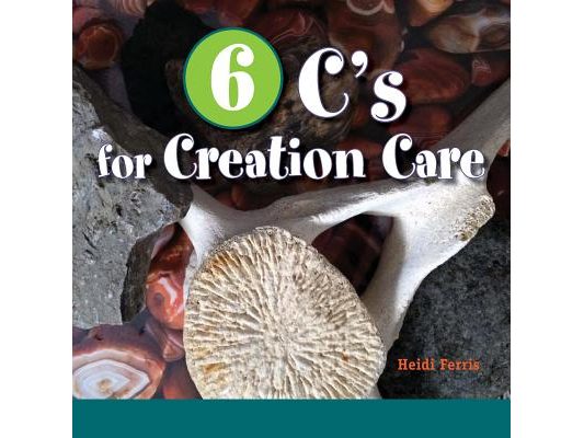 6 C's for Creation Care: Creation, Christ, Creativity, Combustion, Climate, Connect