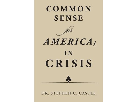 Common Sense for America; in Crisis
