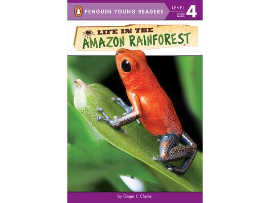 Life in the Amazon Rainforest