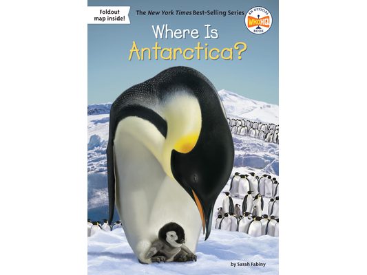 Where Is Antarctica?
