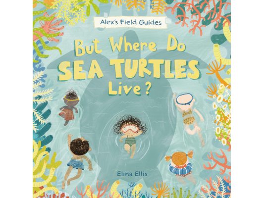 But Where Do Sea Turtles Live?