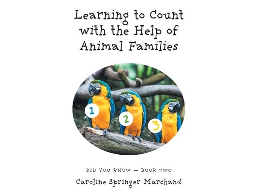Learning To Count with the Help of Animal Families