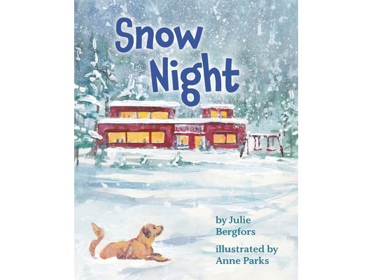 Snow Night