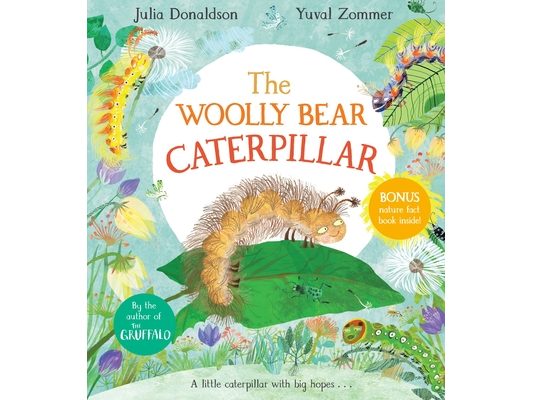 The Woolly Bear Caterpillar