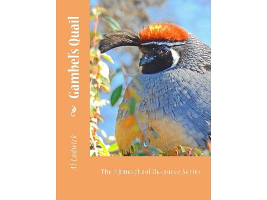 Gambel's Quail: The Homeschool Resource Series