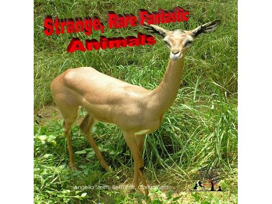 Strange Rare Fantastic Animals