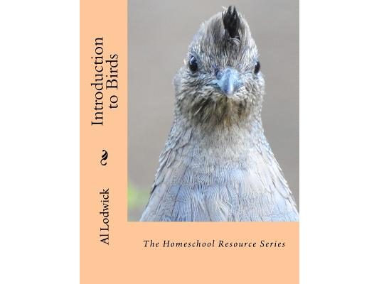 Introduction to Birds: The Homeschool Resource Series