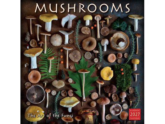 Mushrooms: The Art of the Fungi