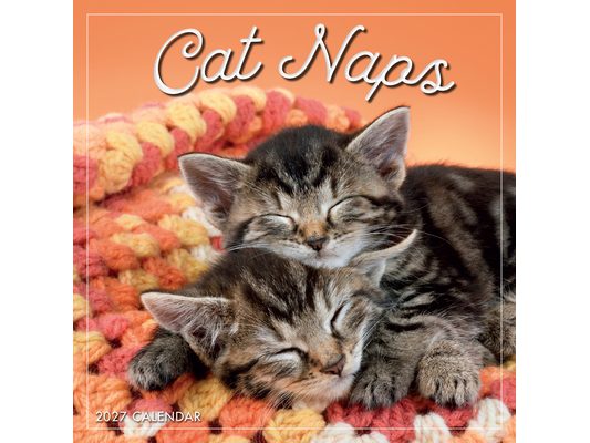 Cat Naps
