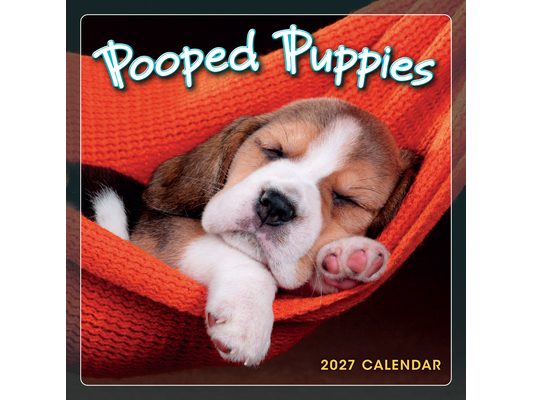 Pooped Puppies