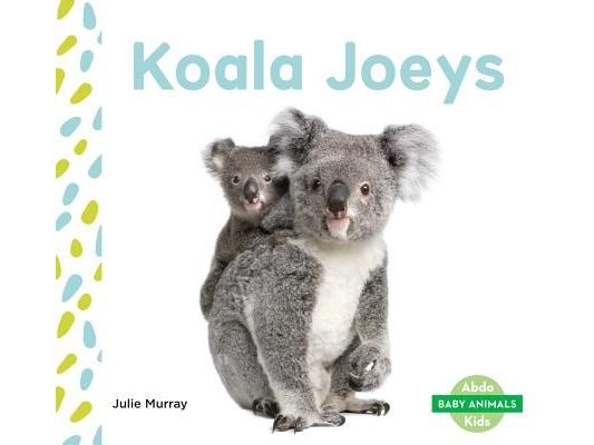 Koala Joeys