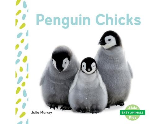 Penguin Chicks
