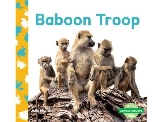 Baboon Troop