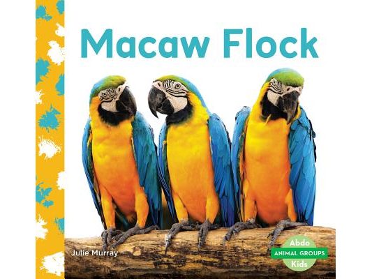 Macaw Flock
