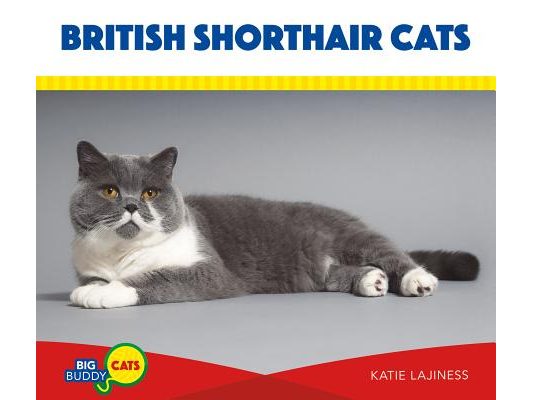 British Shorthair Cats