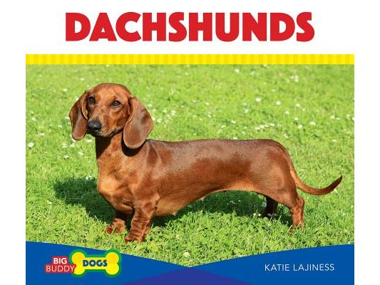 Dachshunds